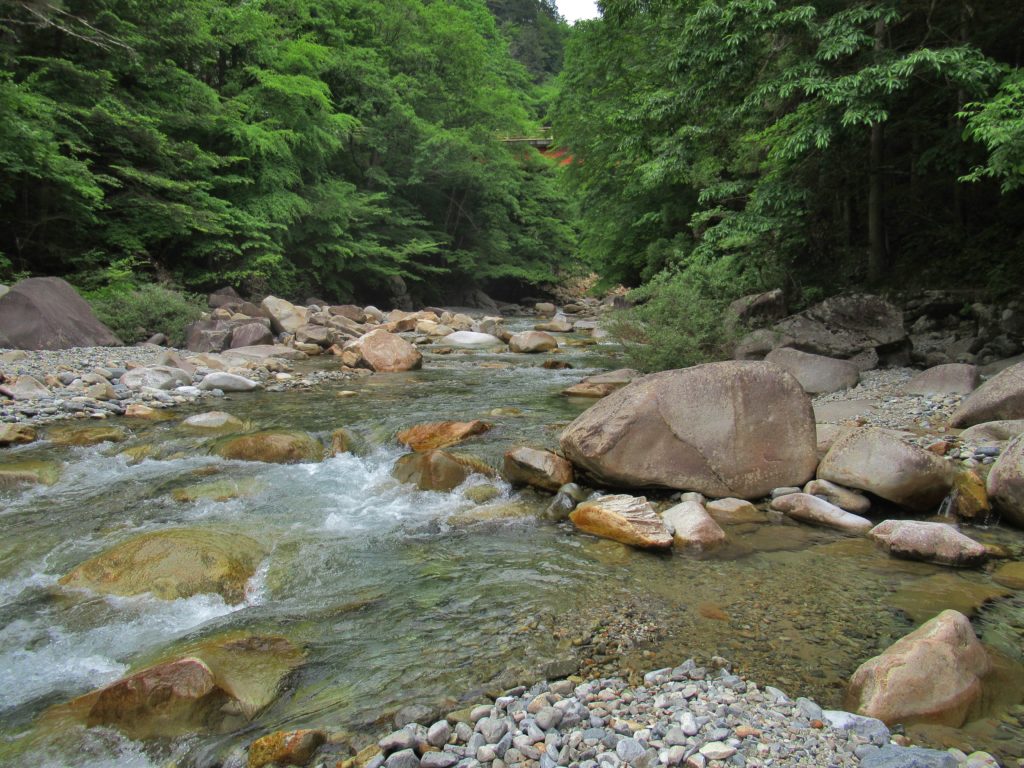 恋路のつり橋付近の渓谷の景観