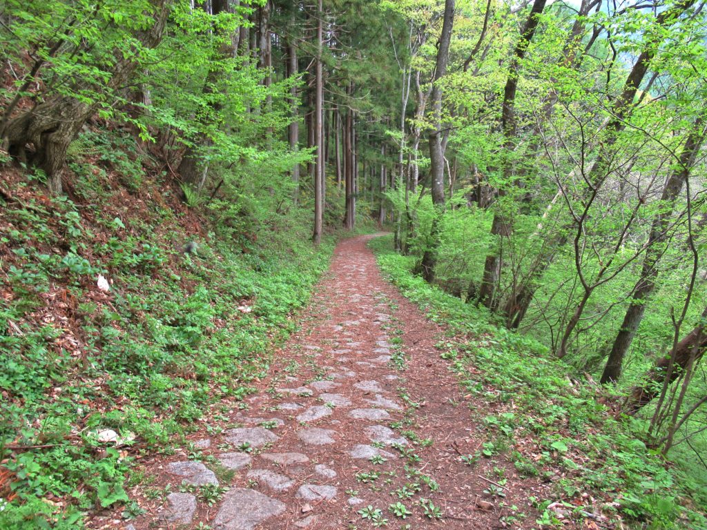 奈良井宿側の鳥居峠石畳道