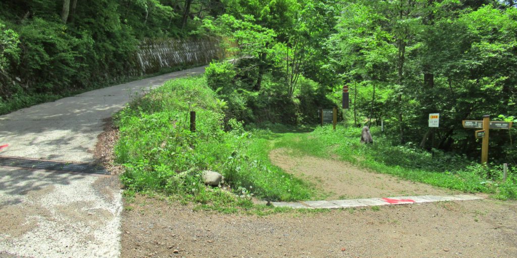 鳥居峠の分岐点その6(別角度)