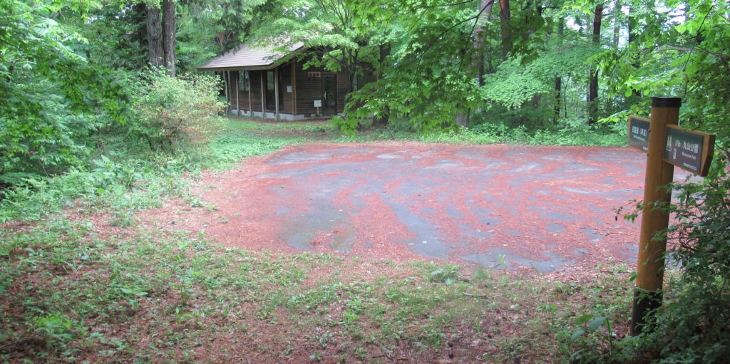 鳥居峠の分岐点その8