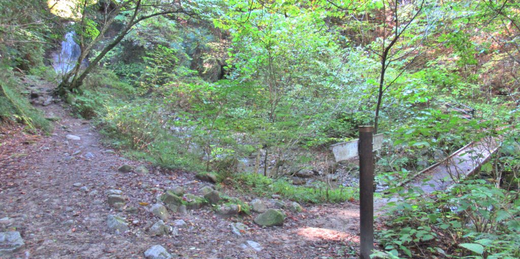 男捶滝の分岐点その3