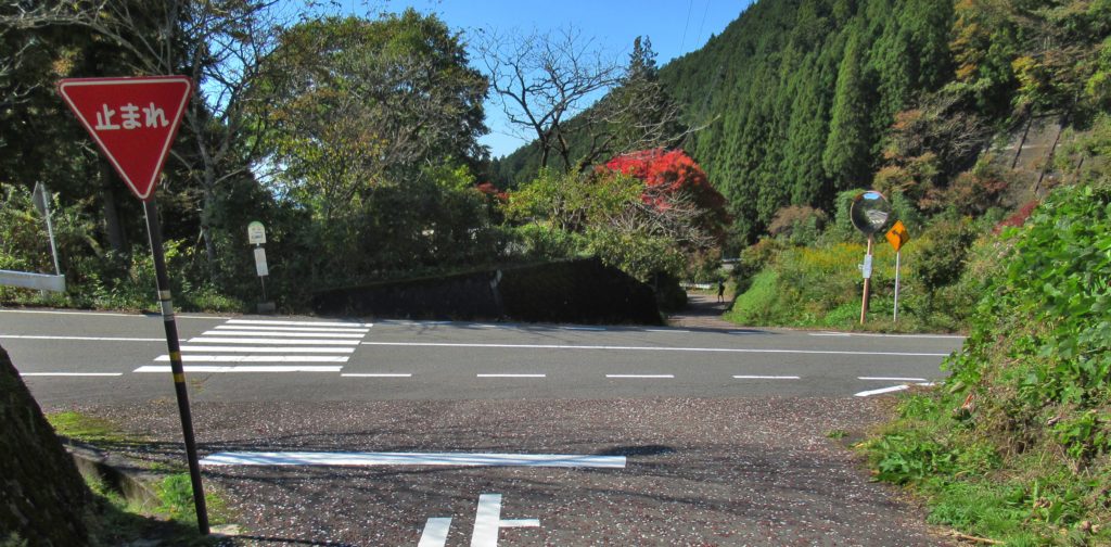 清水の分岐点その1