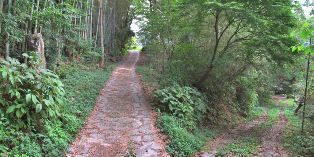 渡島の分岐点その1