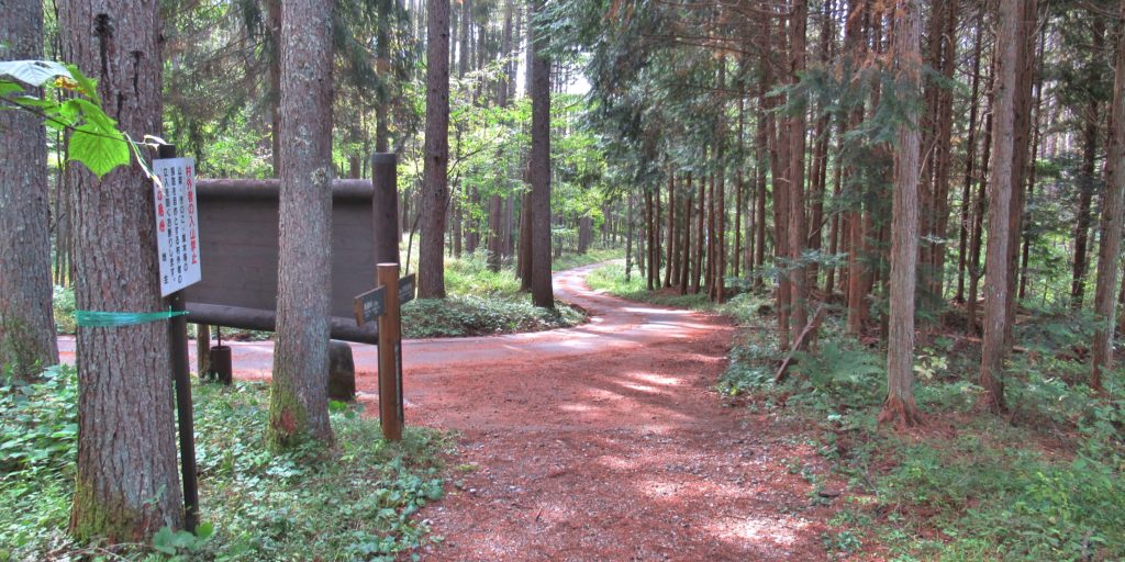 鳥居峠の分岐点その11