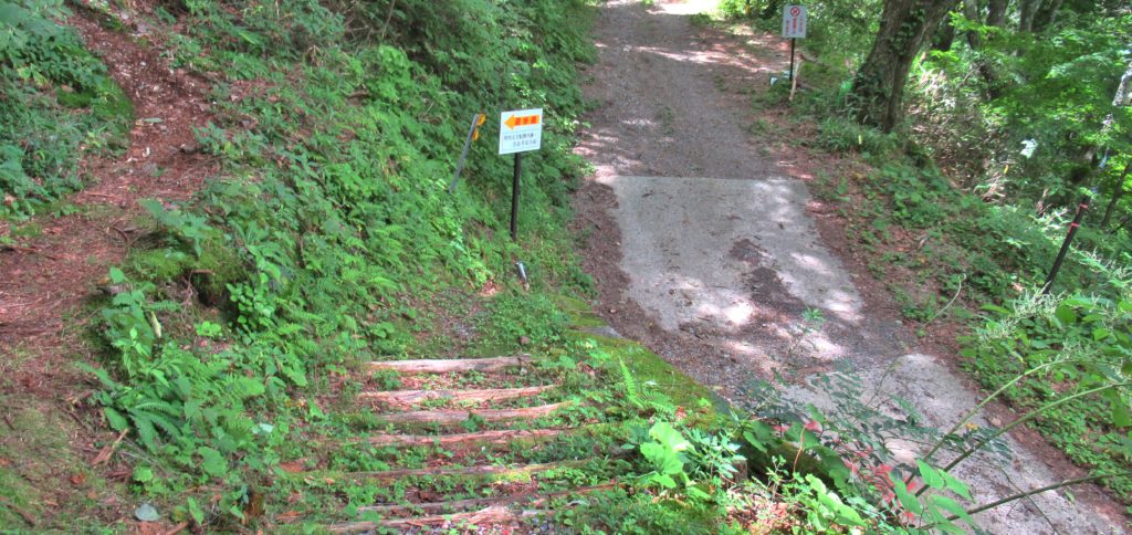 鳥居峠の分岐点その5