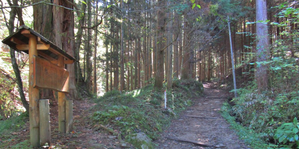 神居木付近