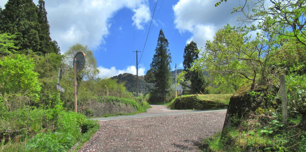 Shimizu Juncture 2