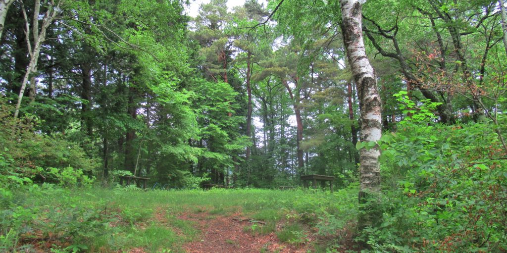 The vicinity of the site of Woodland Weather Station