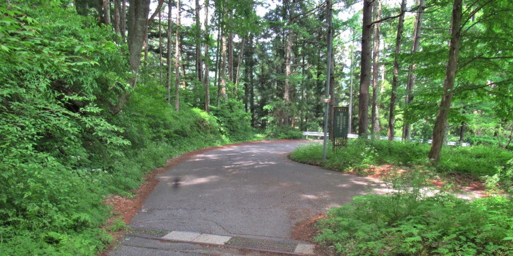 Torii Pass Juncture 12