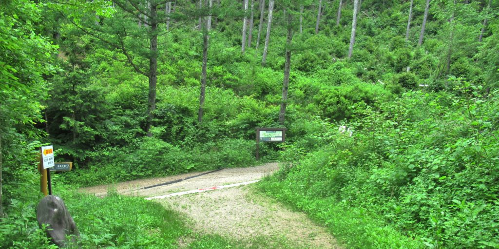 Torii Pass Juncture 7