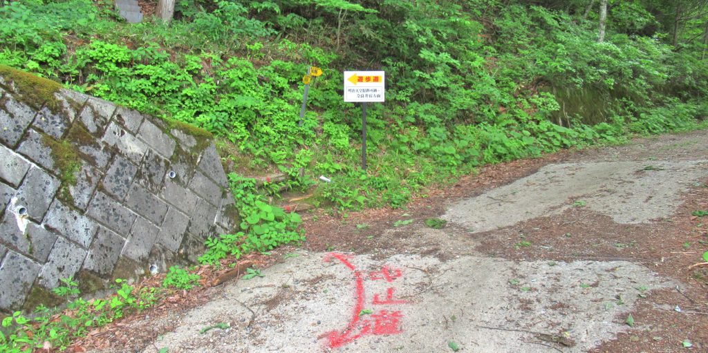 Torii Pass Juncture 8