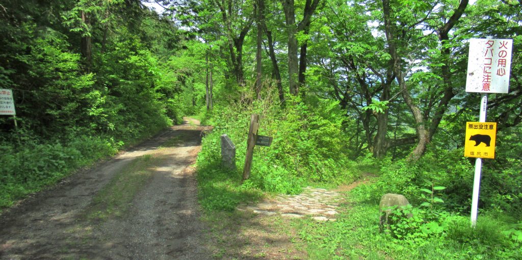 Torii Pass Juncture 9