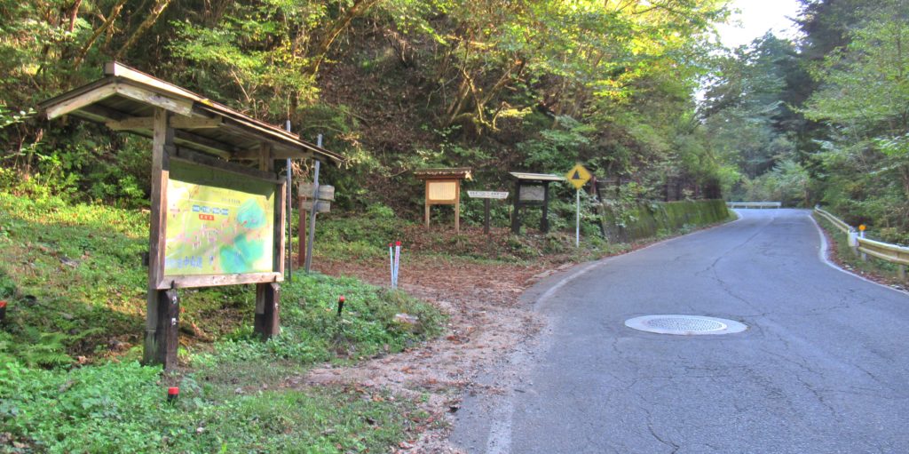男捶滝の分岐点その4