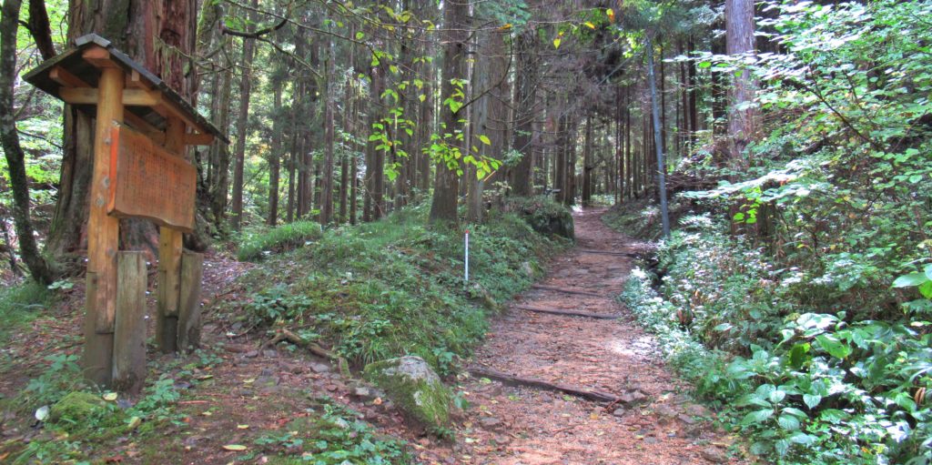 神居木付近