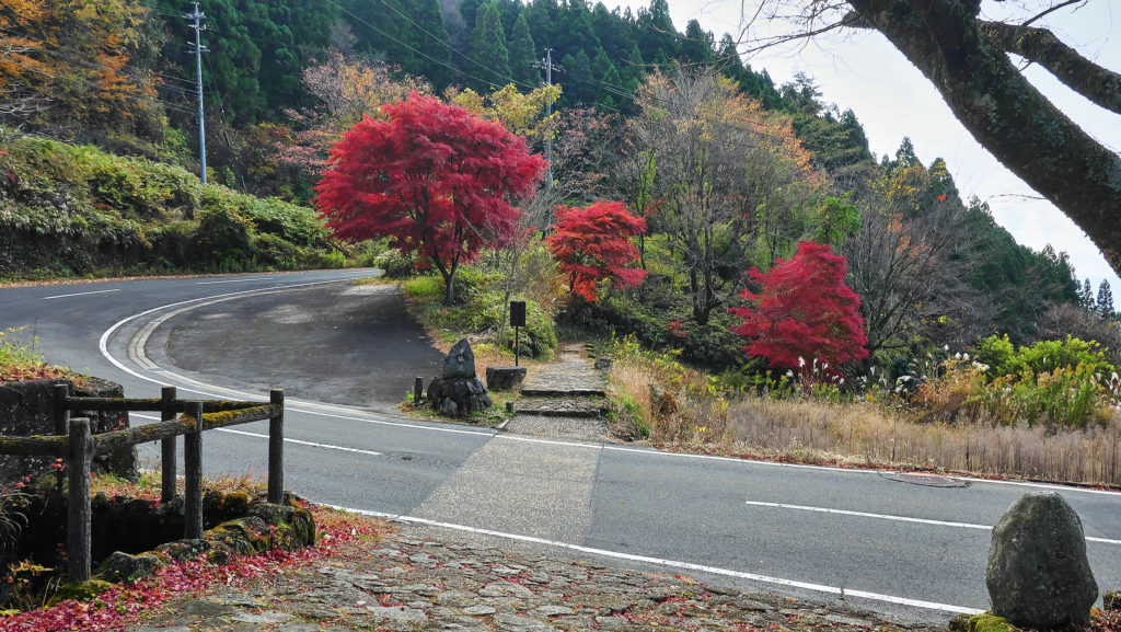 梨の木坂の分岐点その2