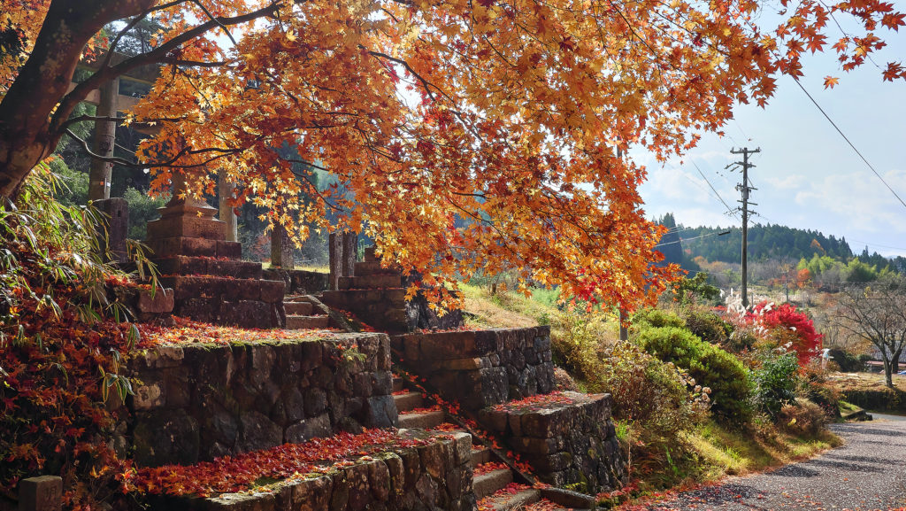 熊野神社付近