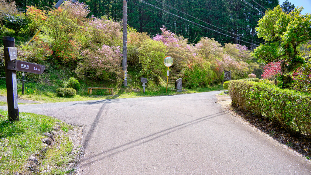蛇石の分岐点