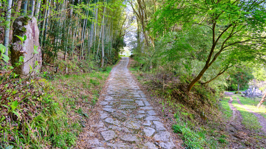 渡島の分岐点その1