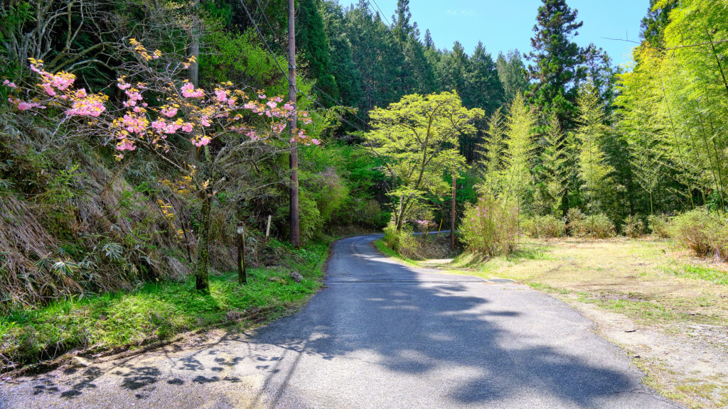 妻籠城跡の分岐点その1
