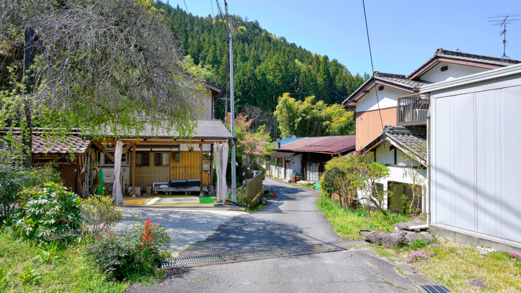 和合の枝垂梅付近