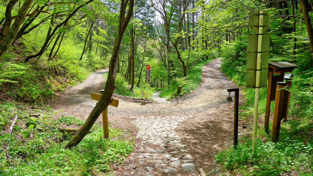 鳥居峠の分岐点その10