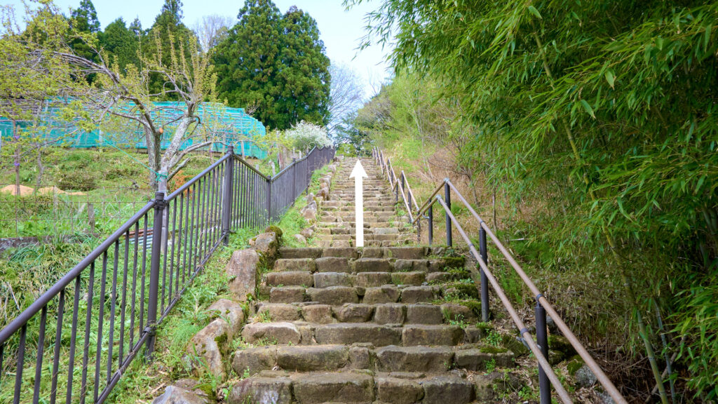 The stone stairs
