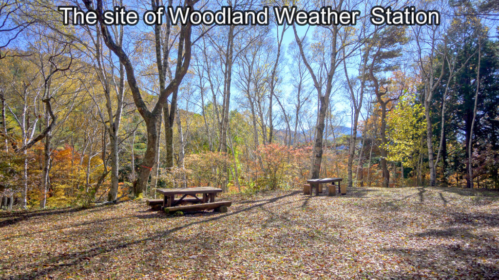 The site of Woodland Weather Station 2