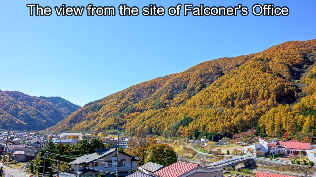 The view from the site of Falconer's Office