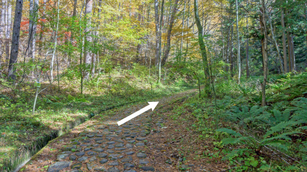 Stone-paved path